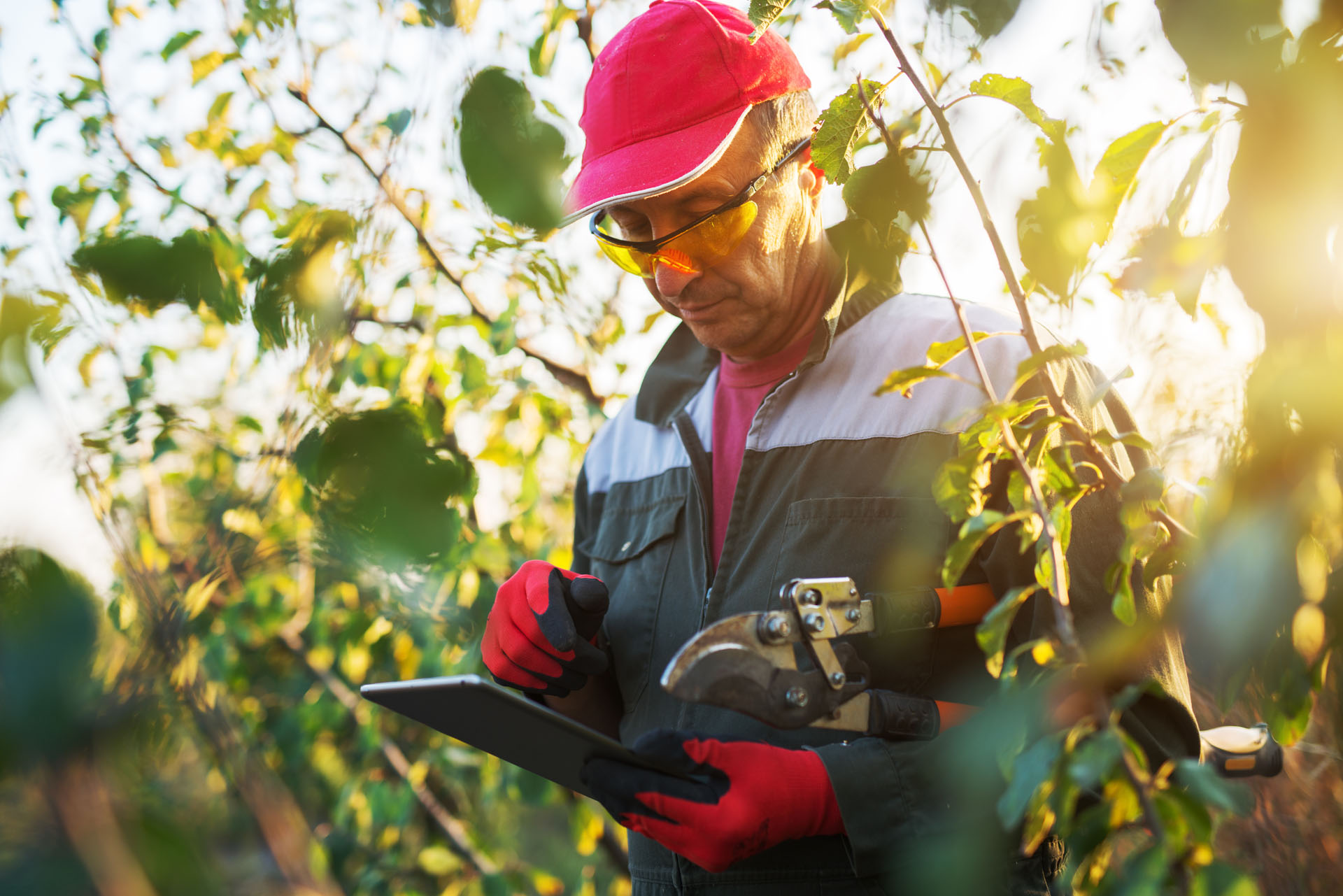 Devenir horticulteur