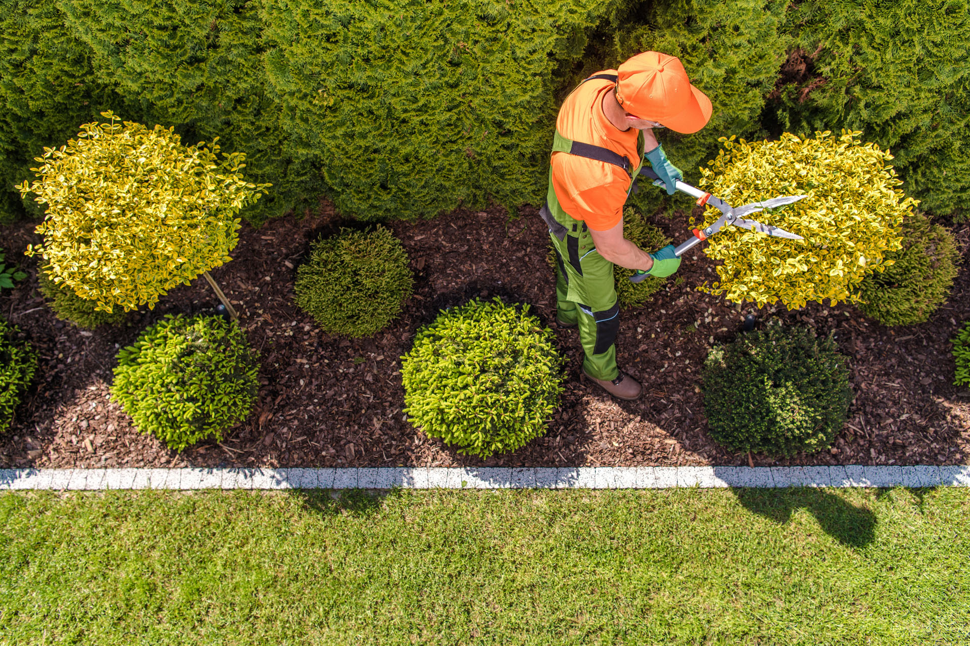 Formation jardinier / jardinière paysagiste