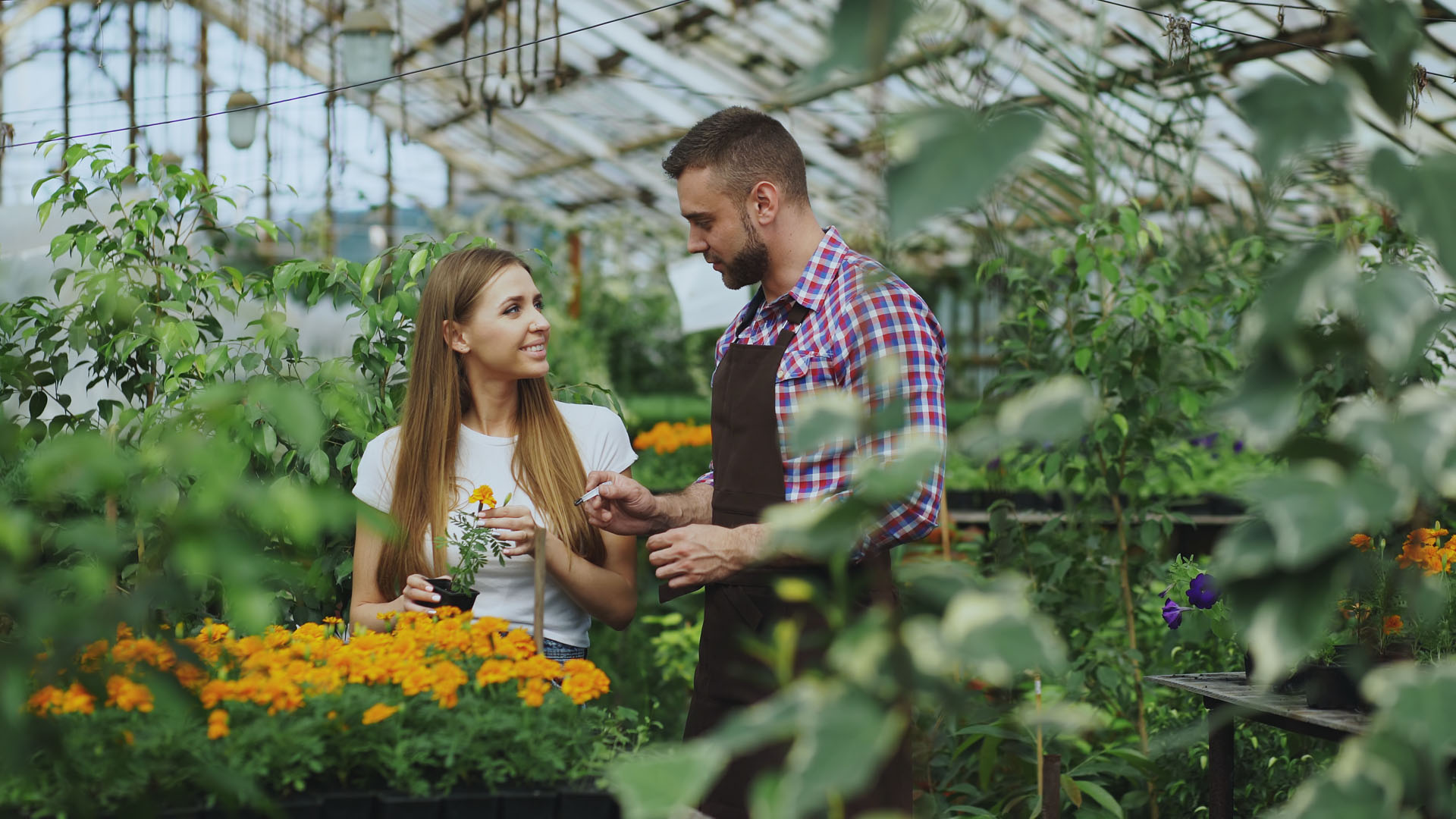 Devenir conseiller en jardinerie