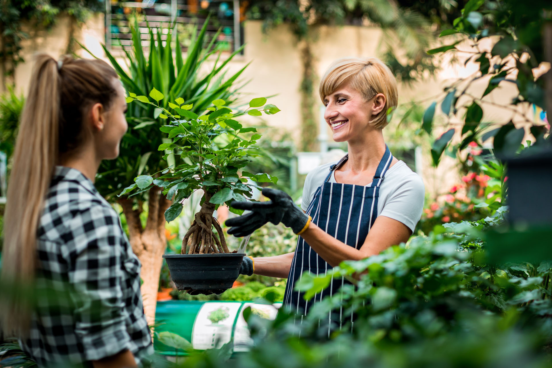 Formation vendeur conseil en jardinerie