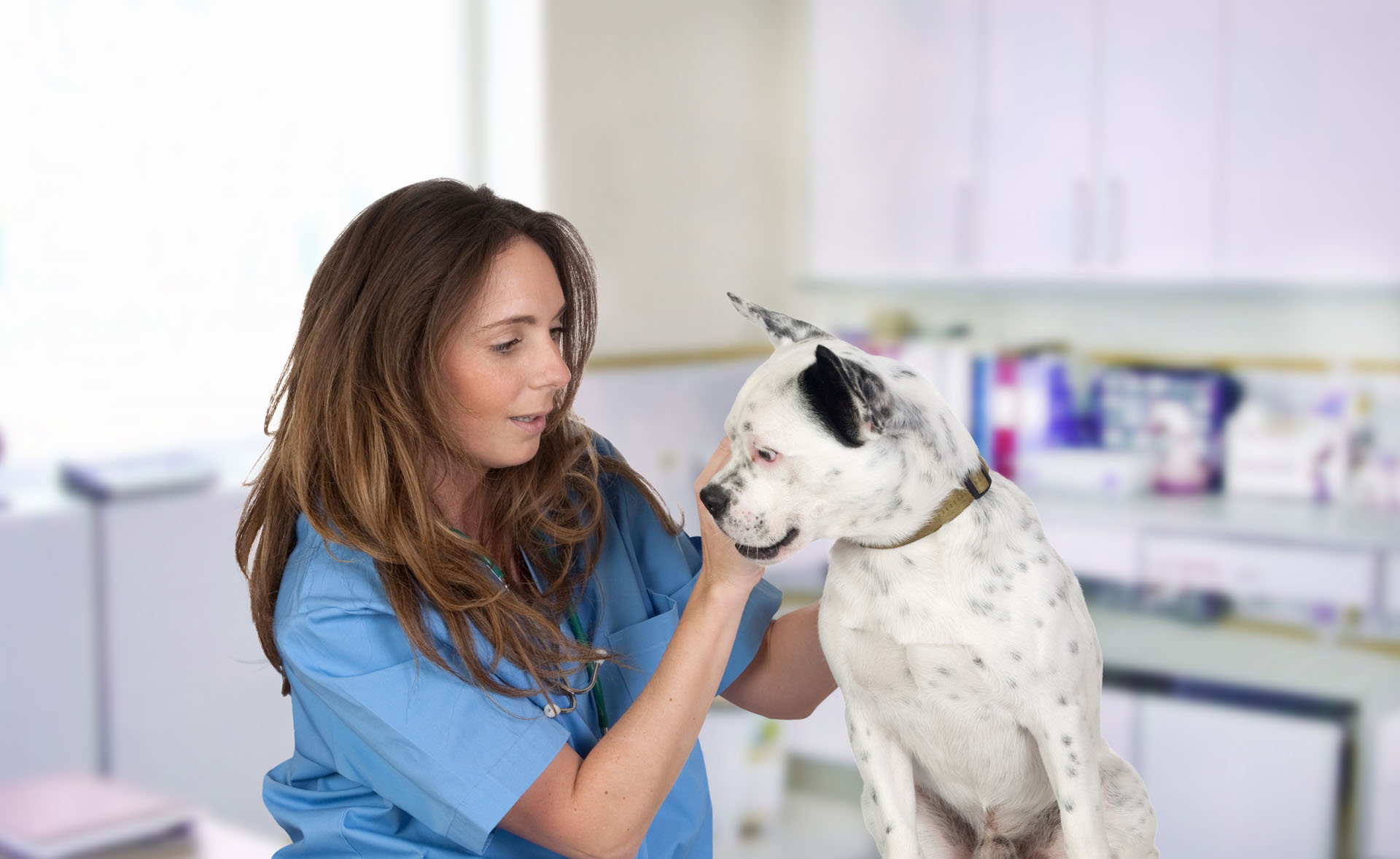 ITW Anita Varnerin - Assistante vétérinaire