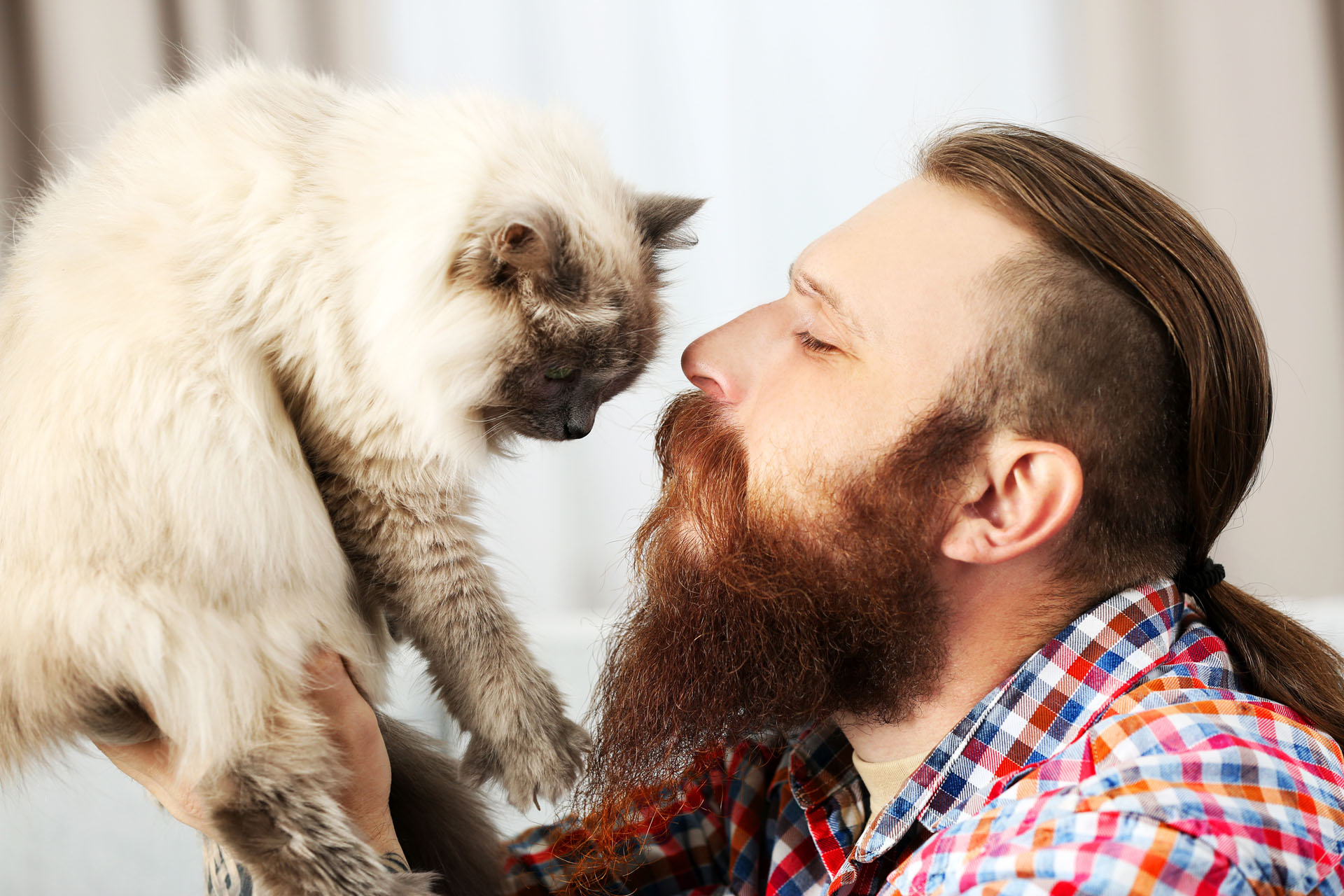 Devenir éleveur / éleveuse de chat