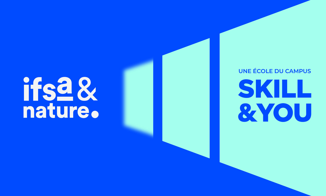 Transition IFSA vers Skill & You