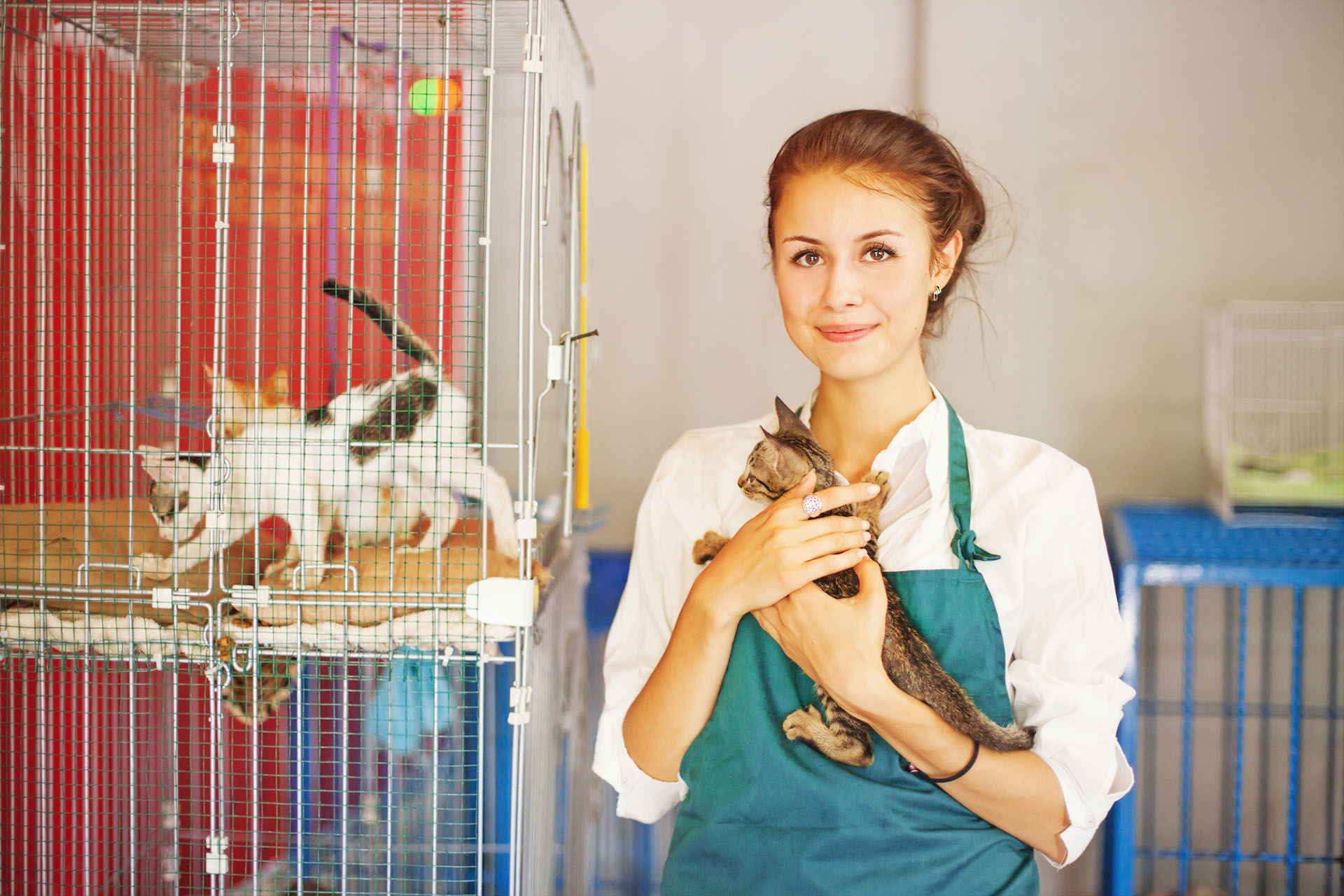 travailler dans un refuge pour animaux